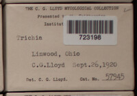 Image Associated With the Occurence